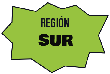 REGIÓN SUR